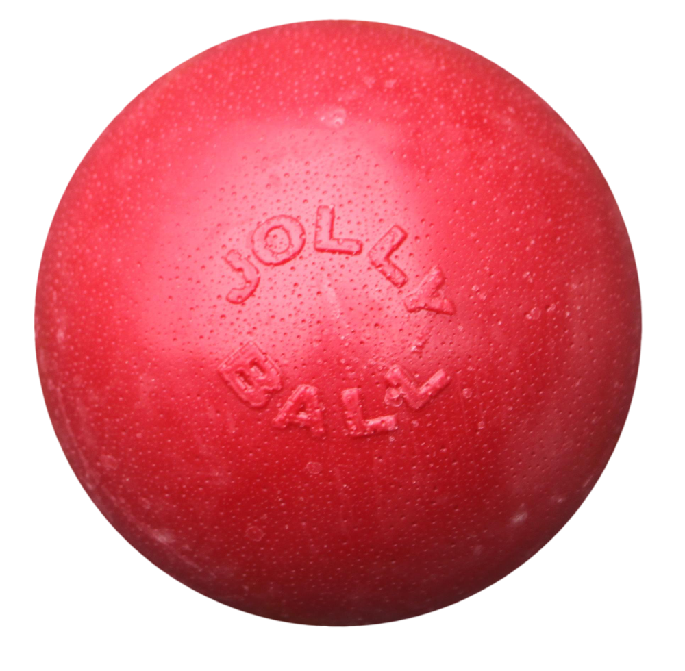 Jolly Ball Bounce-n Play 20cm Red