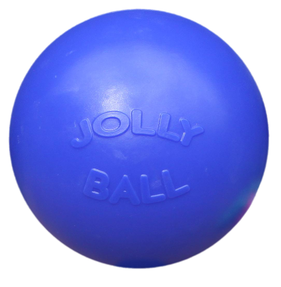Jolly Ball Push-n-Play 25cm blue