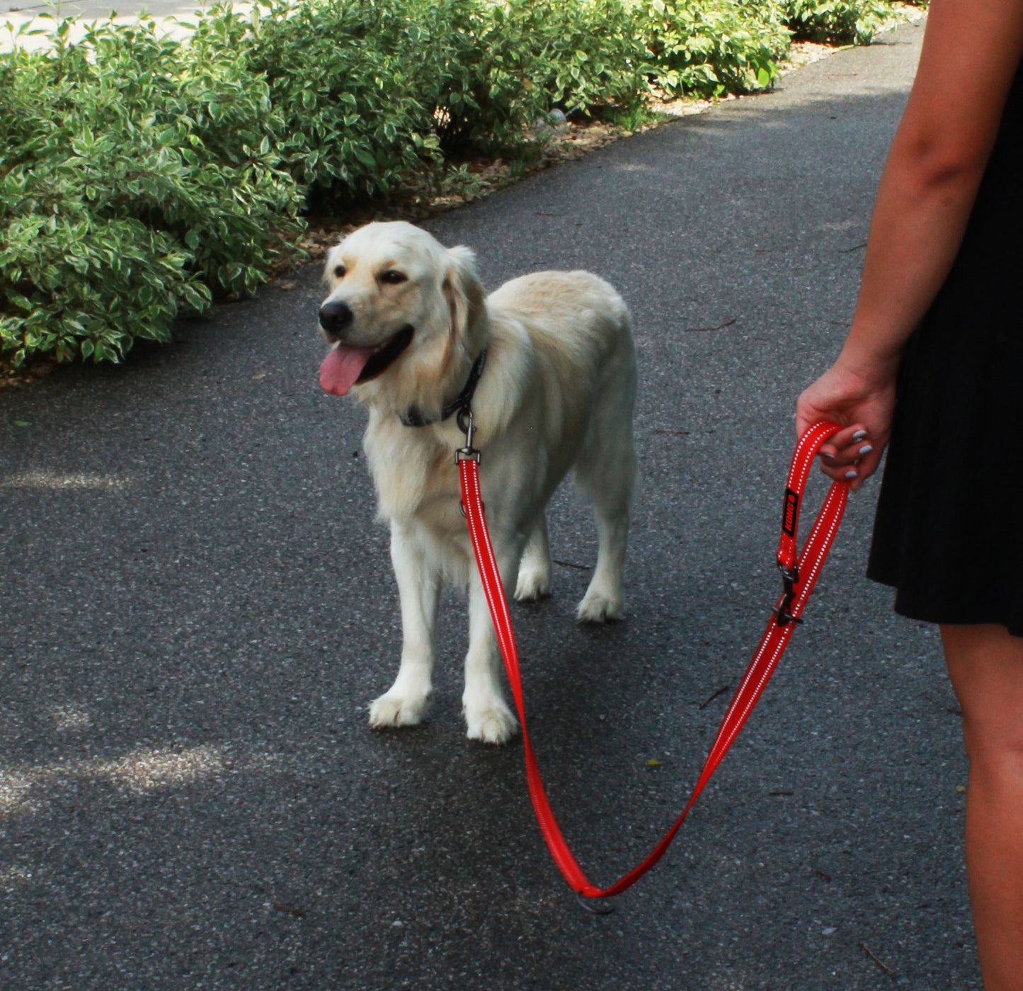 KONG Adjustable leash M Black