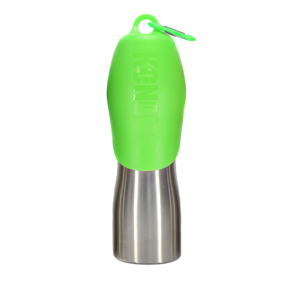 KONG H2O 740 ml Stainless Steel Bottle Green