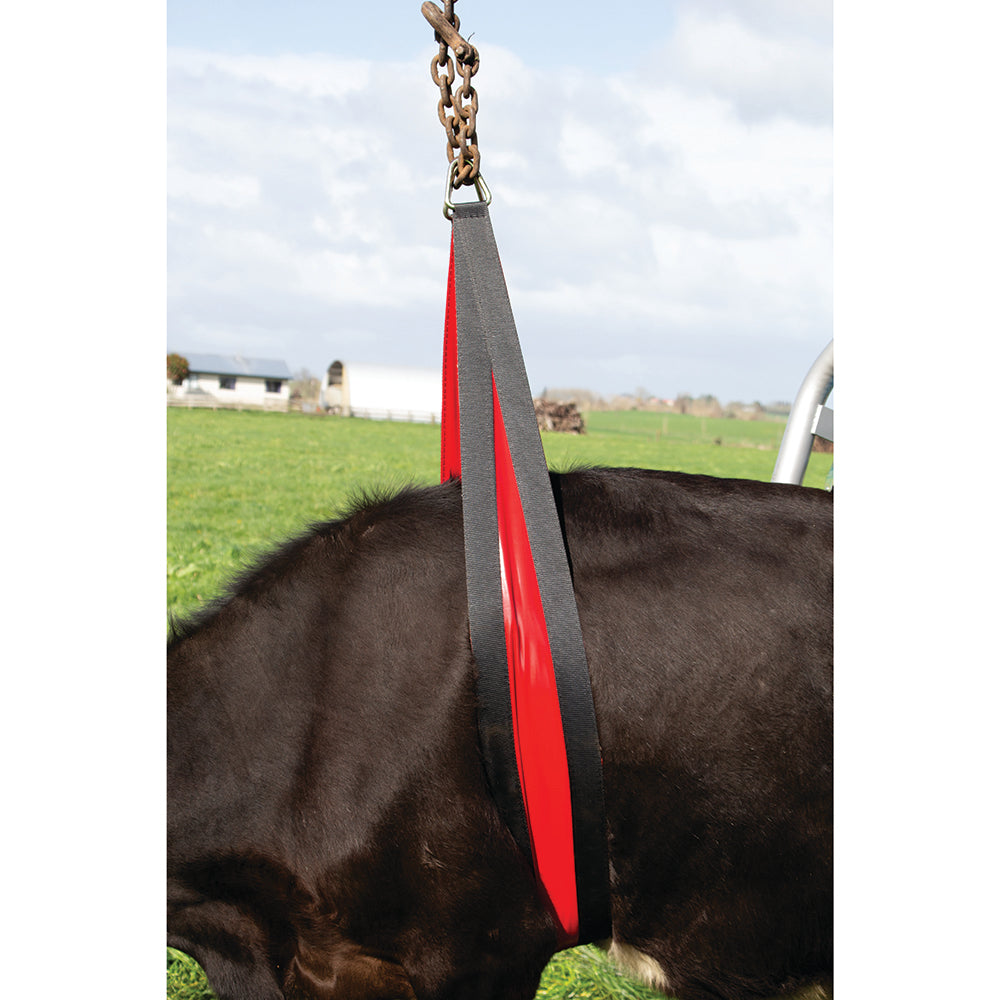 Cow lifter Belly Strap front lift