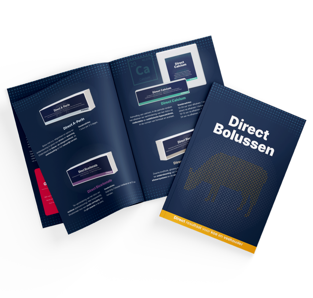 Brochure Direct Boluses NL