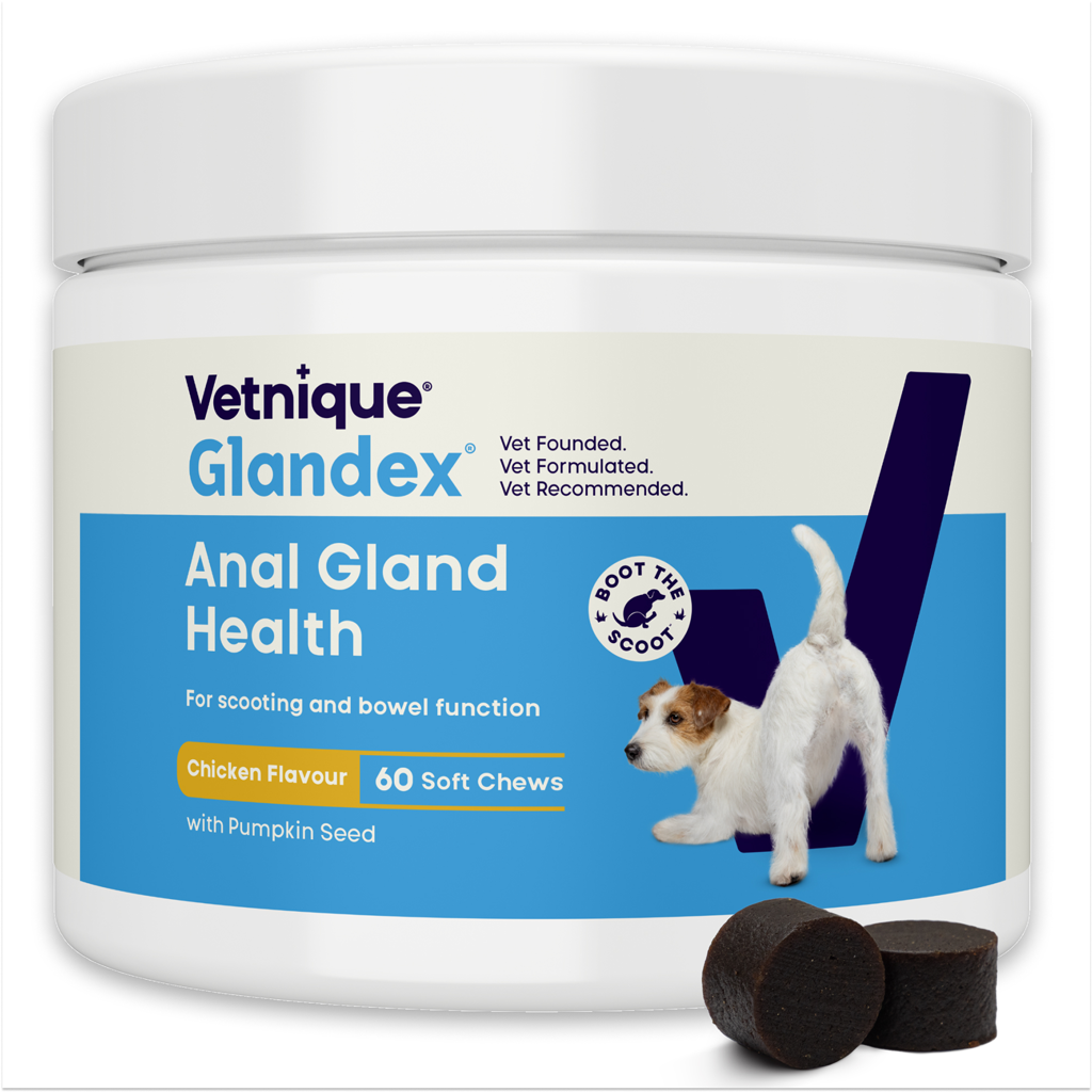 Glandex Soft Chews Chicken 60 treats (240 g)