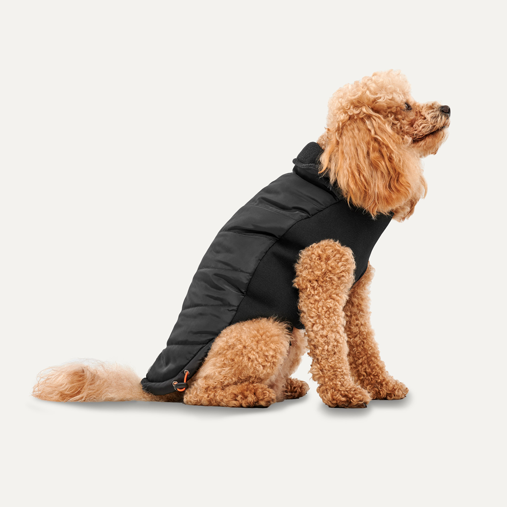 Goo-eez Mock Neck Signature Wrap Jacket S Black