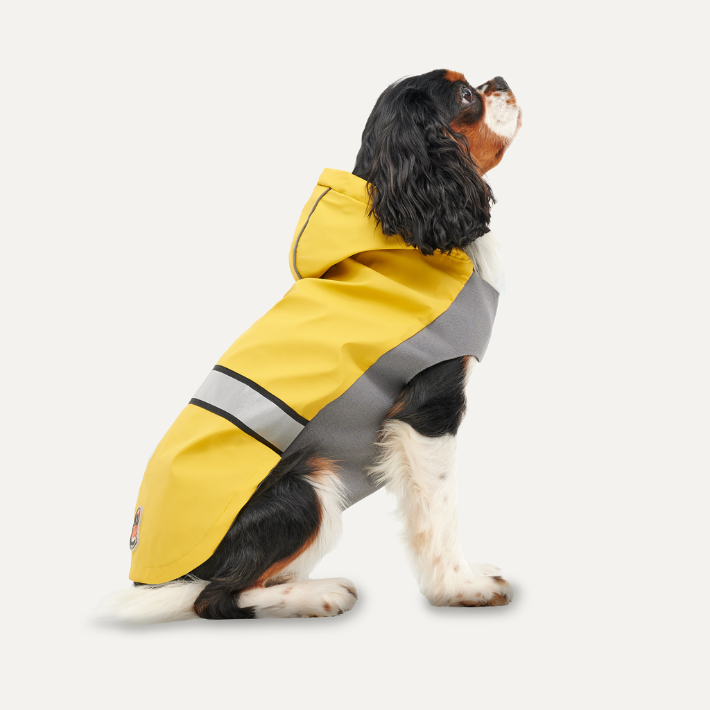 Goo-eez Reflective Hooded Raincoat XS Yellow/Grey