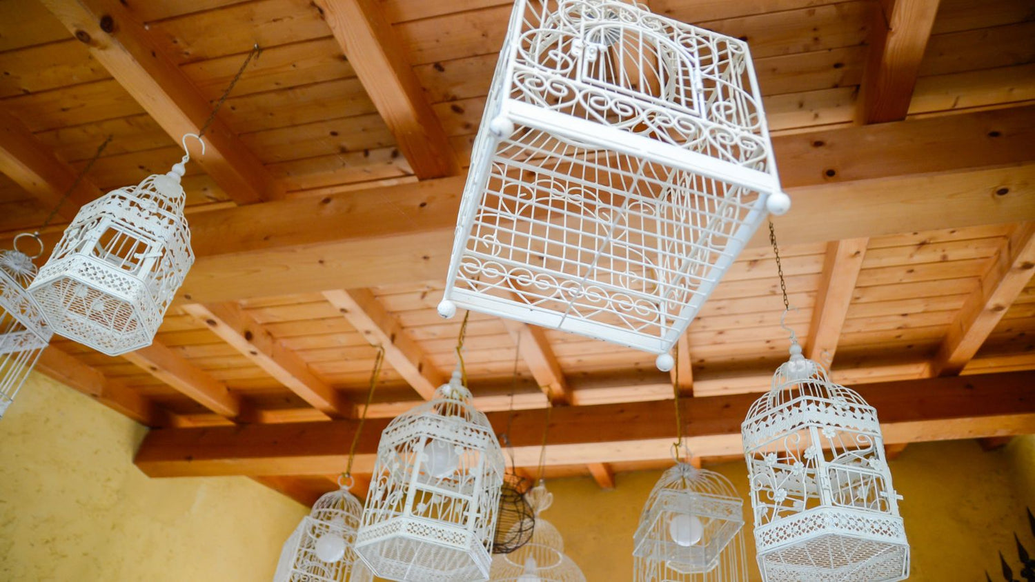 Bird Cages, Breeding & Housing