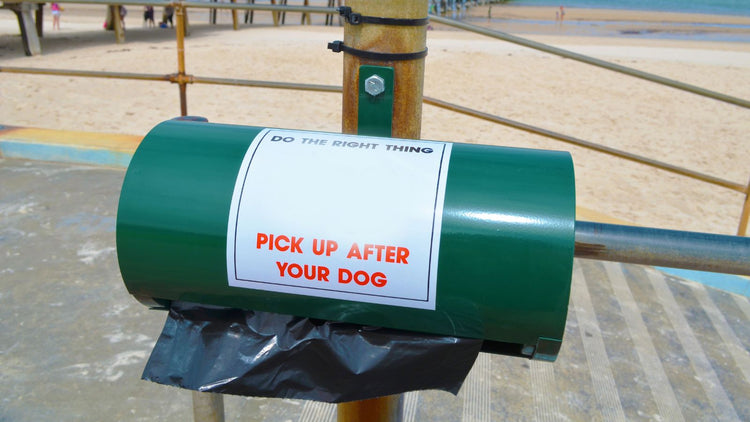 Dog Clean Up & Odour Control