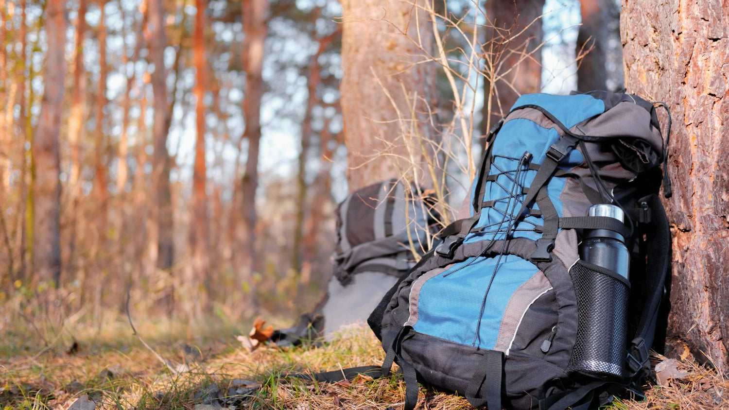 Trekking & Walking Backpacks & Bags