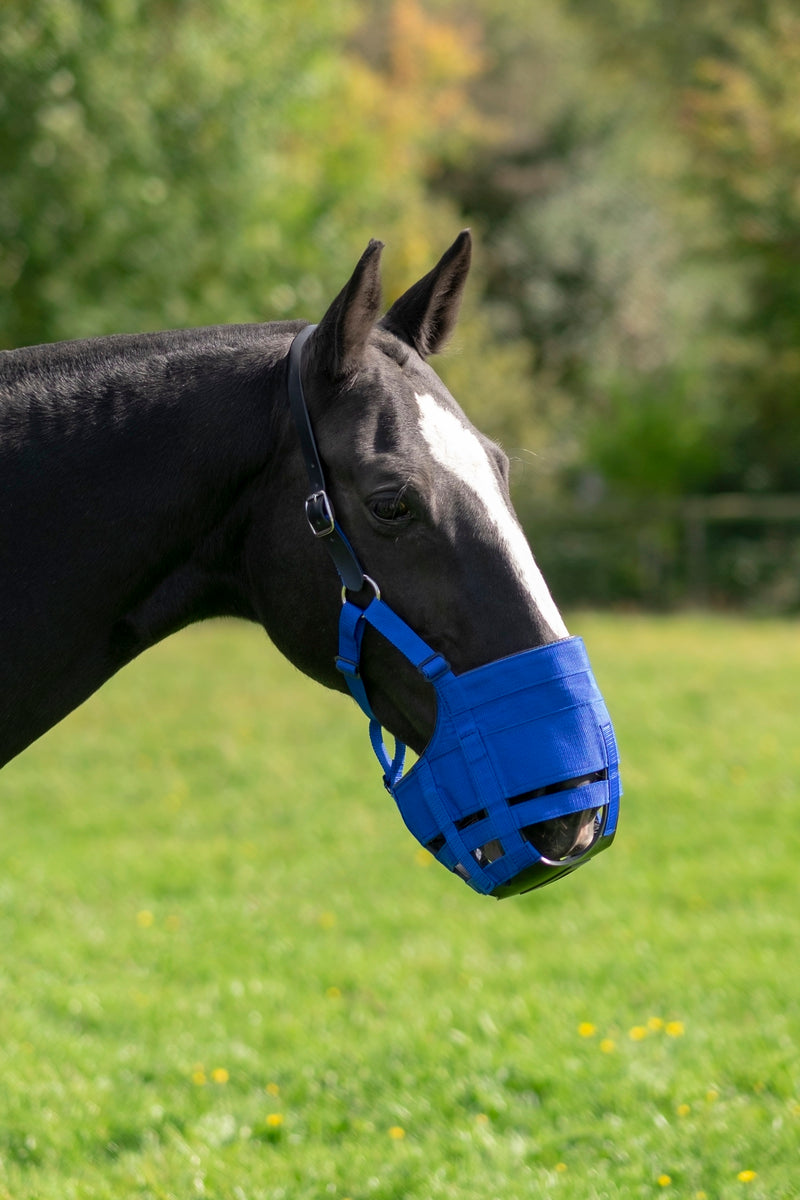Grazing muzzle The Ultimate Muzzle Pony