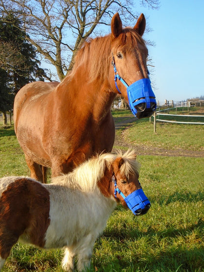 Grazing muzzle The Ultimate Muzzle Pony