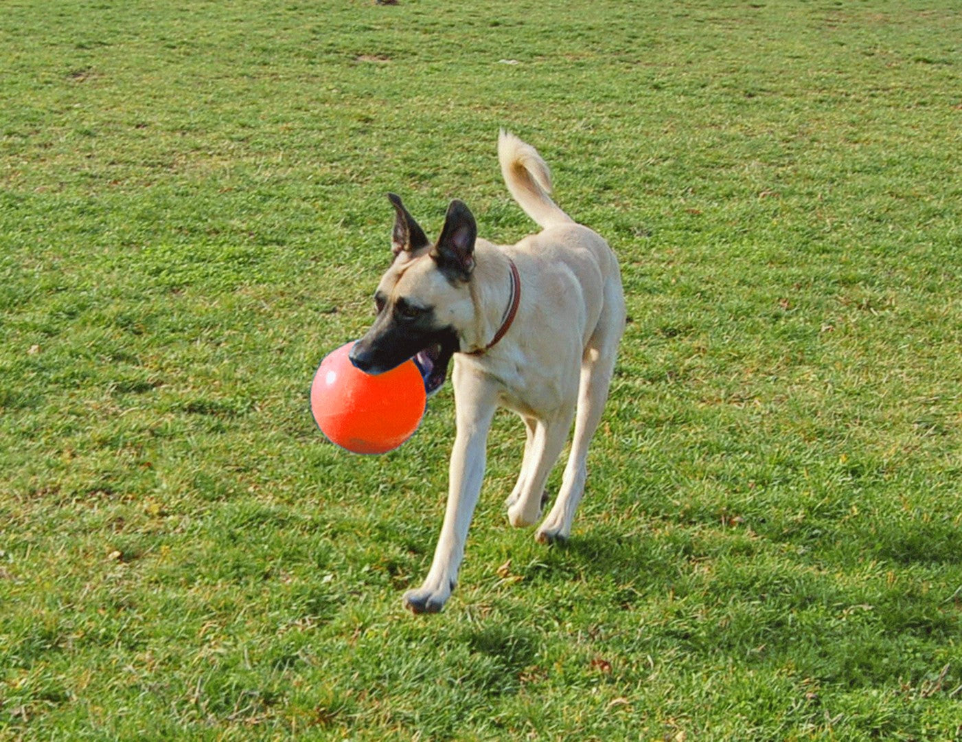 Jolly Ball Bounce-n Play 15cm Orange (Vanilla Smell)