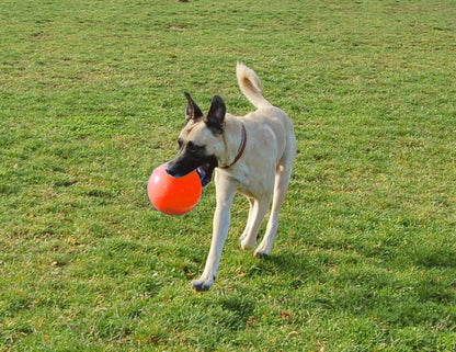 Jolly Ball Bounce-n Play 15cm Orange (Vanilla Smell)