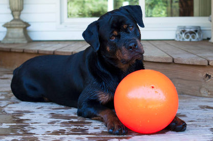 Jolly Ball Bounce-n Play 15cm Orange (Vanilla Smell)