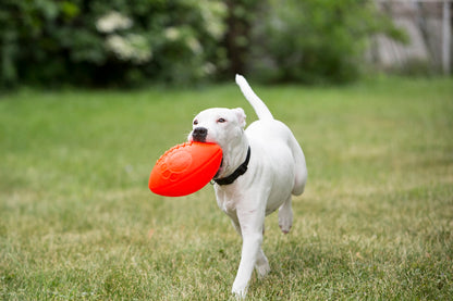 Jolly Football Orange (Vanilla Smell)