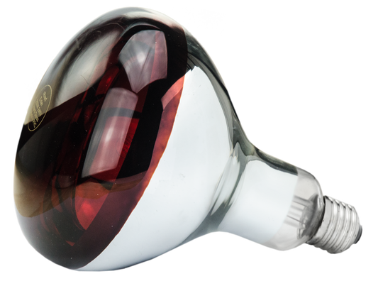 Infrared Lamp 150 W red Tempered glass