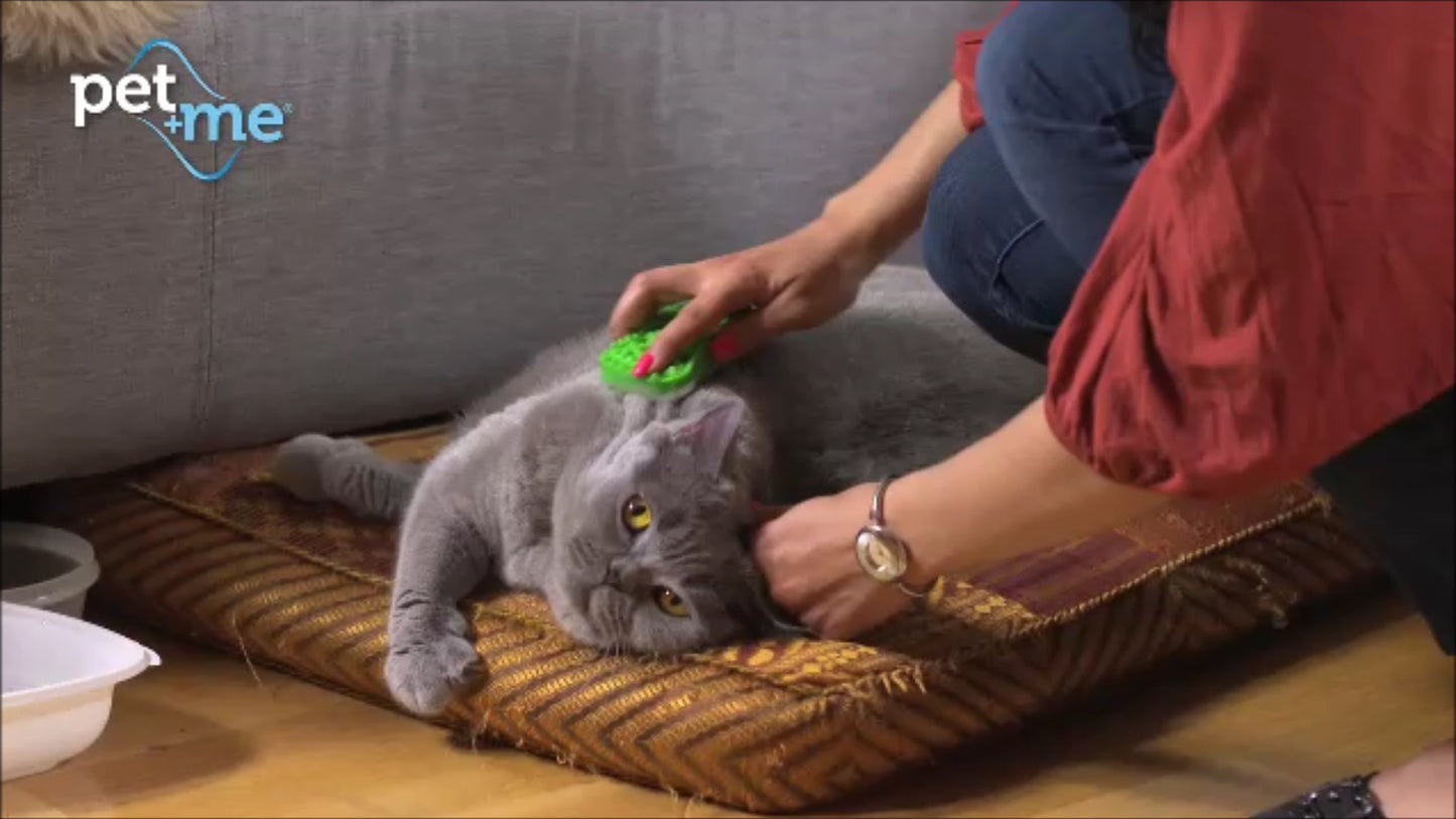 Pet+Me Cat long hair brush green