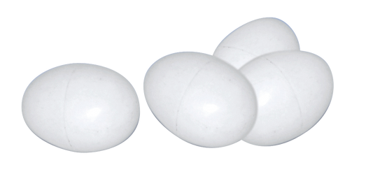 Poultry eggs plastic