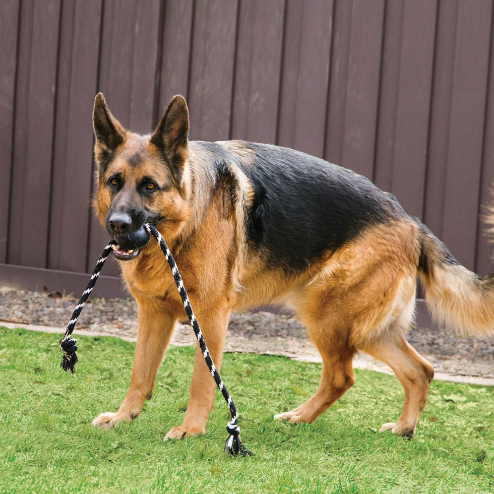 KONG Extreme Ball with rope Lg