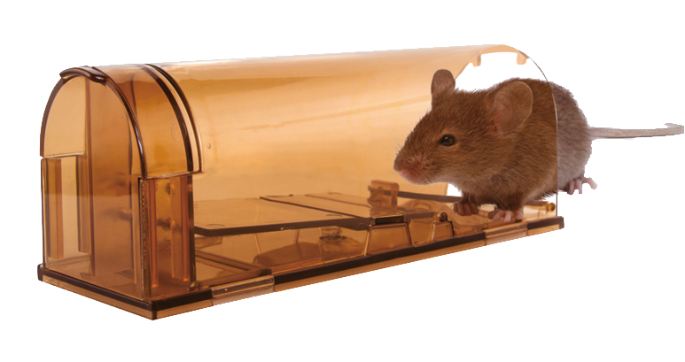 Knock Off Mouse trap alive