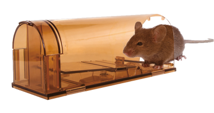 Knock Off Mouse trap alive
