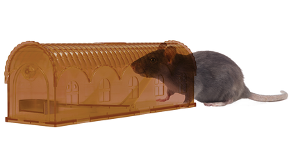 Knock Pest Rat trap Alive