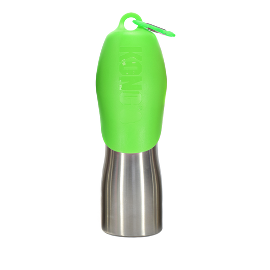 KONG H2O 740 ml Stainless Steel Bottle Green