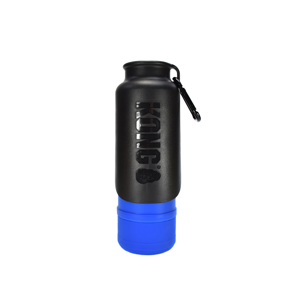 KONG H2O 700 ml Insulated Bottle Blue