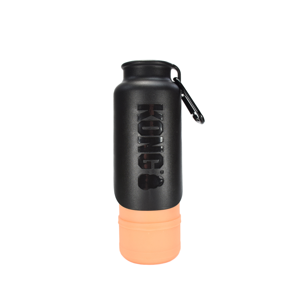 KONG H2O 700 ml Insulated Bottle Orange