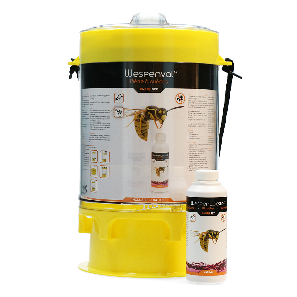 Knock Pest Wasp trap XL