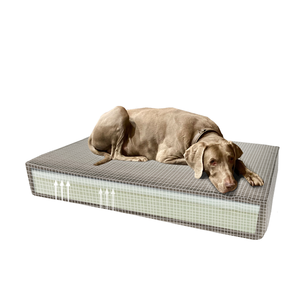 Madison Orthopedic cushion 45 x 55 taupe