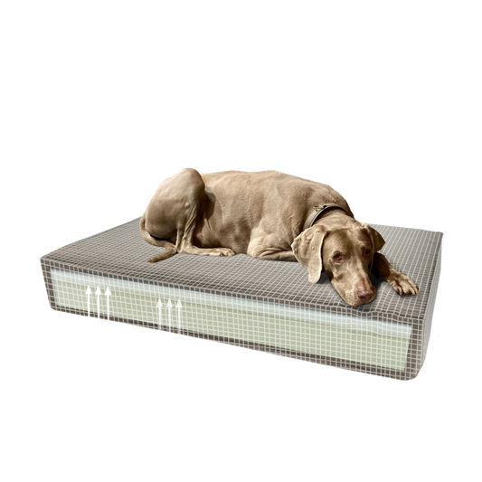 Madison Orthopedic cushion 45 x 55 taupe