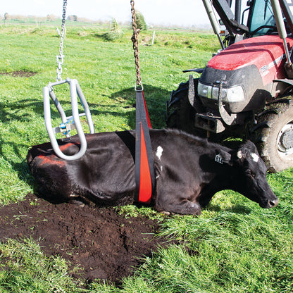 Cow lifter Belly Strap front lift