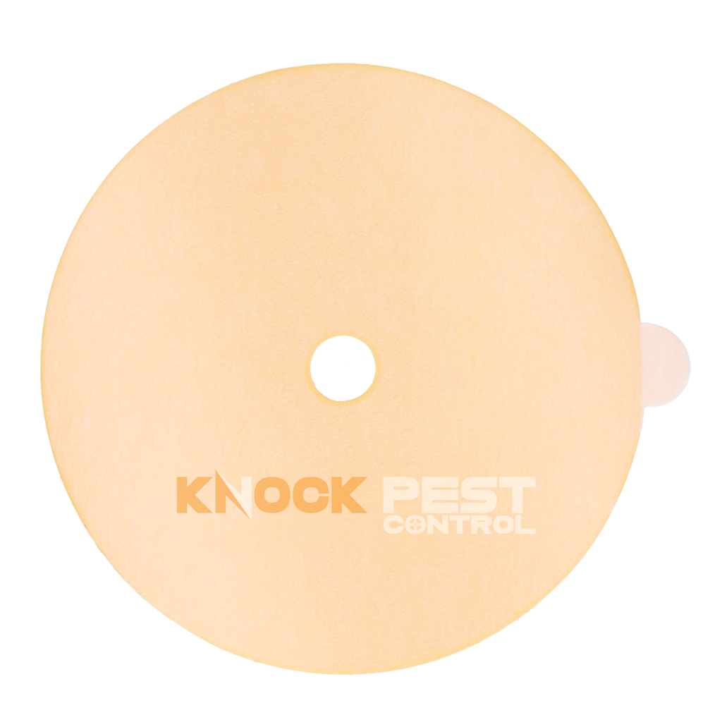 Knock Pest Glue Plate for Insect Trap