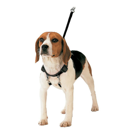 Dog Harness Gloria Pets 30-42 cm Size M