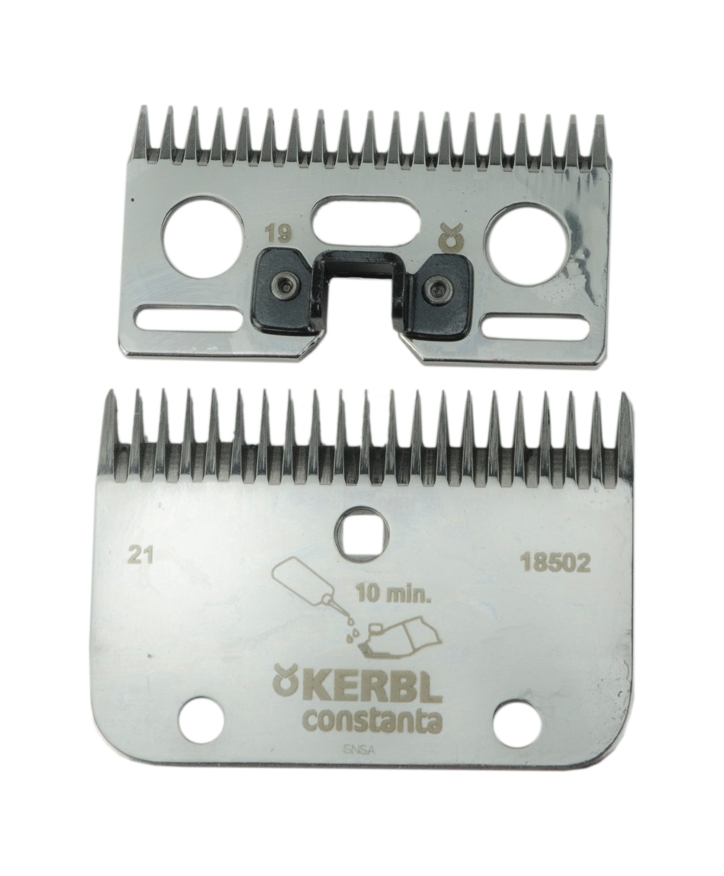 Constanta 2 B+O blade cow 21/19 no.70