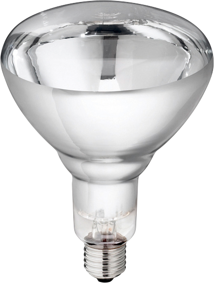 Infrared Lamp 150 Watt white / Tempered glass Philips