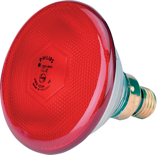 Infrared energy saving lamp 170 W red Philips