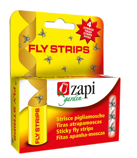 Zapi Flycatcher Old-fashioned