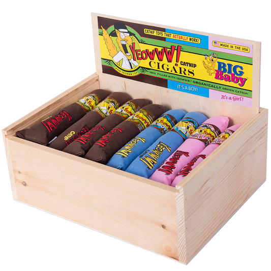 Yeowww! Cigar Box 24 pcs Trio