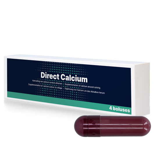 Direct Calcium 4 x 94 g