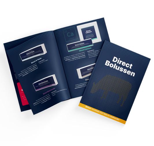 Brochure Direct Boluses NL