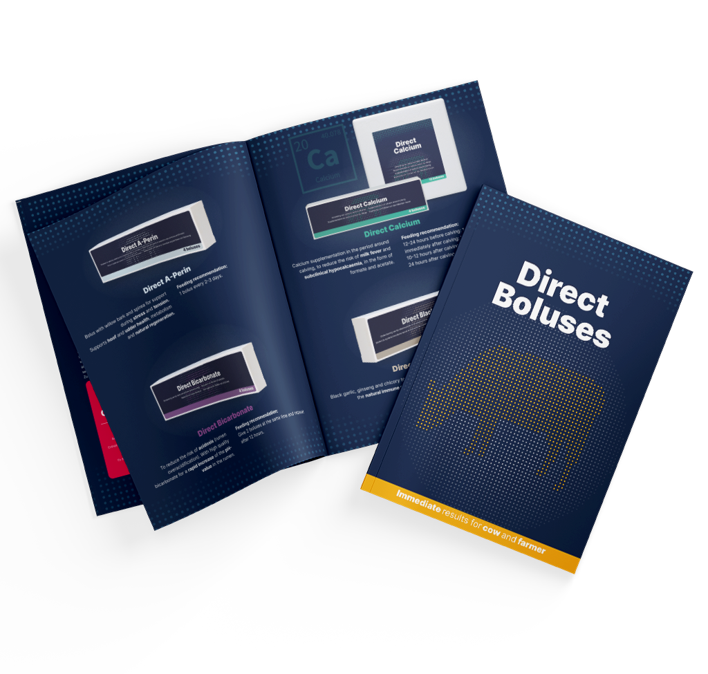 Brochure Direct Boluses EN