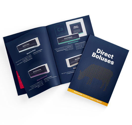 Brochure Direct Boluses EN