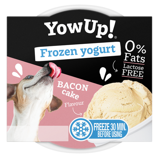 YowUp! Frozen Yoghurt Bacon Cake