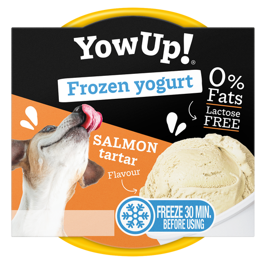YowUp! Frozen Yoghurt Salmon Tartar