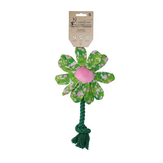 Garden Paws Flower Summer Shrubs S