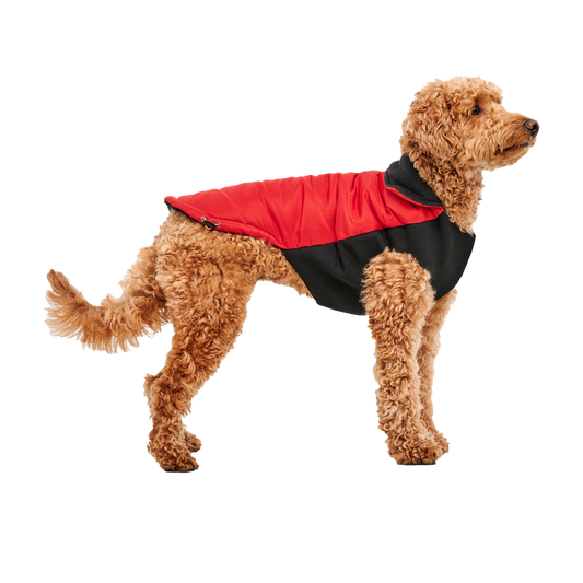 Goo-eez Mock Neck Signature Wrap Jacket XXL Red/Black
