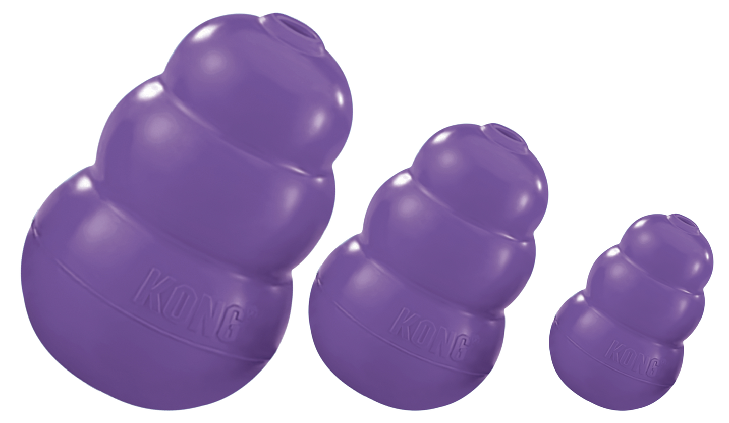 KONG Senior M