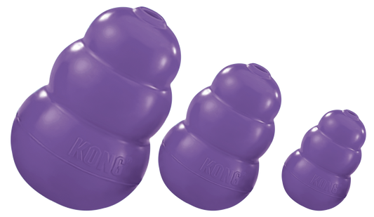 KONG Senior M