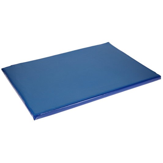 Disinfection mat 85x60x3.5 cm